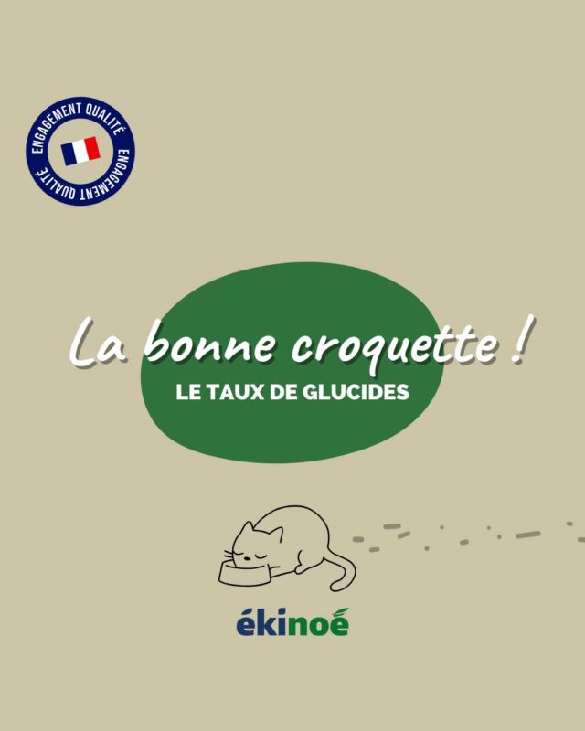 Pour une croquette de bonne qualité, le taux de glucide total ne doit pas dépasser 40%. 

Les glucides servent de liant dans la fabrication des croquettes, et ont un rôle énergétique pour nos loulous ! 🚀

Un apport en glucide maîtrisé = bon maintien du poids de forme ! 👌

Quel est le taux de glucides présent dans les croquettes de votre boule de poils ?