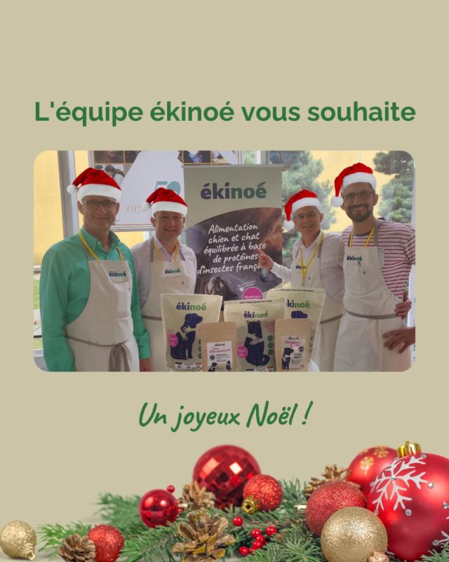 Toute l’équipe ékinoé vous souhaite un Joyeux Noël 🎄

Vos loulous ont été gâtés ? Racontez-nous en commentaires 💬